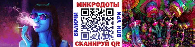 Галлюциногенные грибы Magic Shrooms  блэк спрут tor  Куровское  где можно купить наркотик 